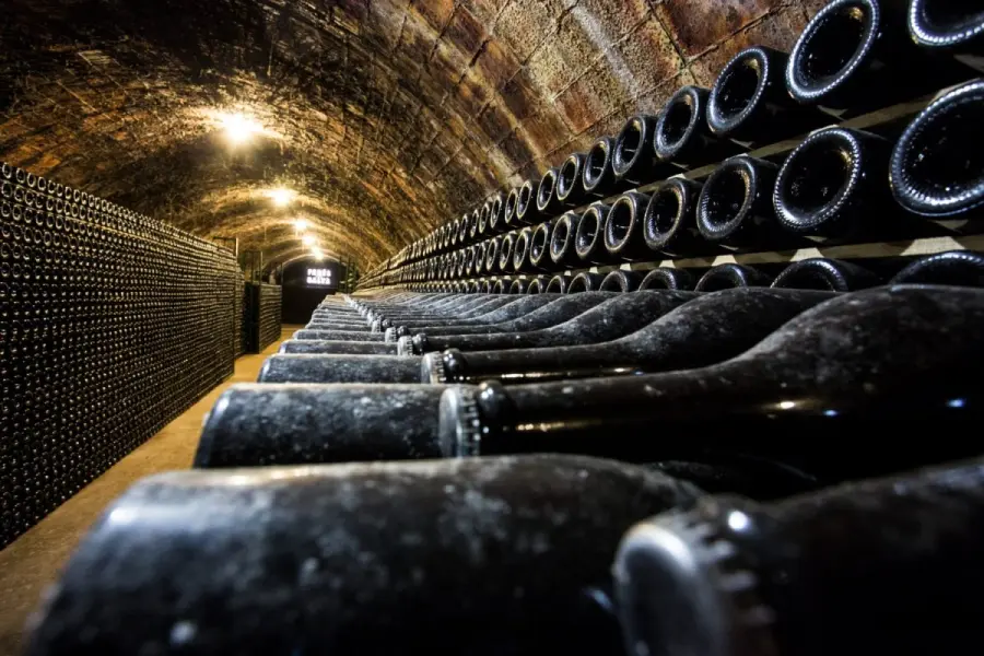 Vini Pugliesi: quali sono i migliori?