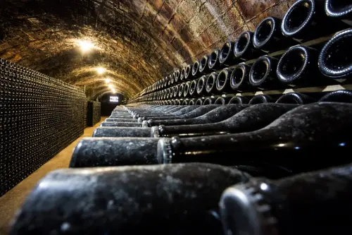 Vini Pugliesi: quali sono i migliori?