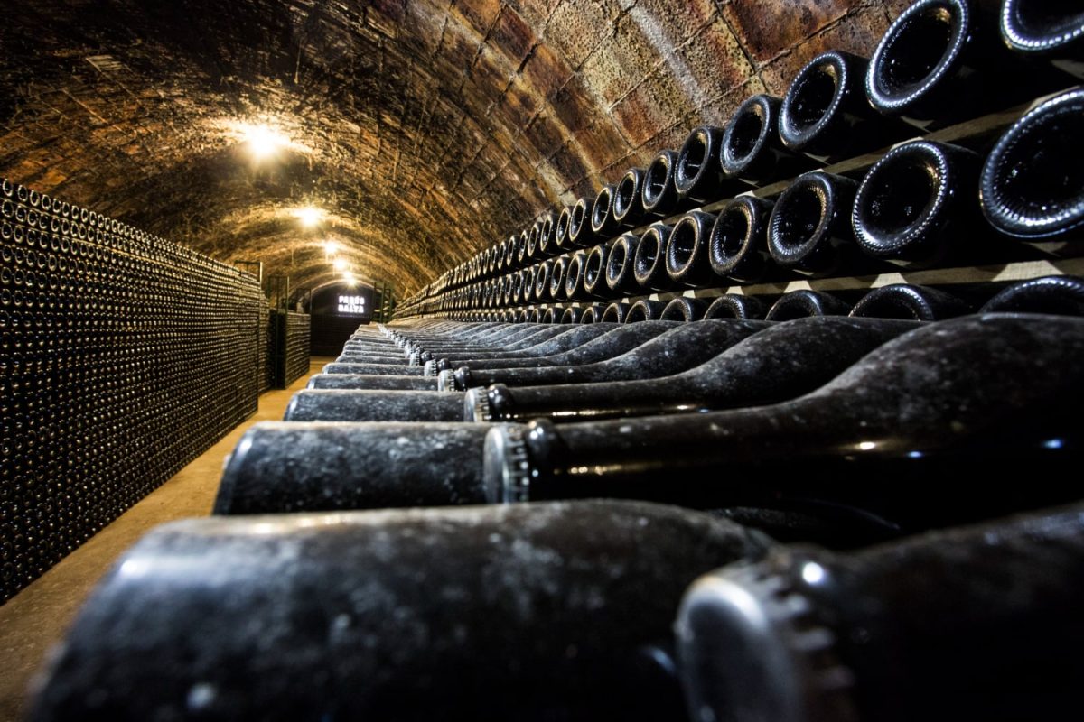 Vini Pugliesi: quali sono i migliori?