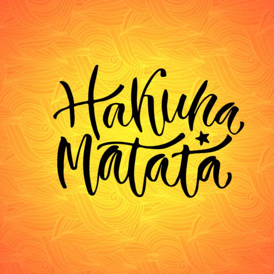Hakuna Matata - Significato Hakuna Matata
