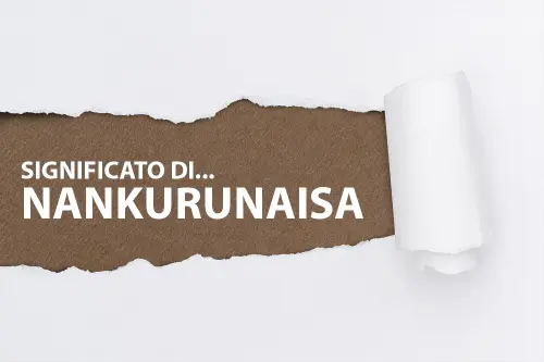 NANKURUNAISA significato - Traduzione NANKURUNAISA