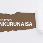 NANKURUNAISA significato - Traduzione NANKURUNAISA