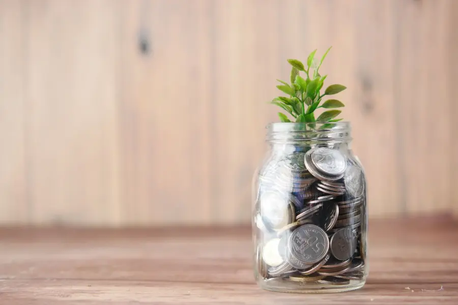 Impact Investing: cosa significa e come funziona
