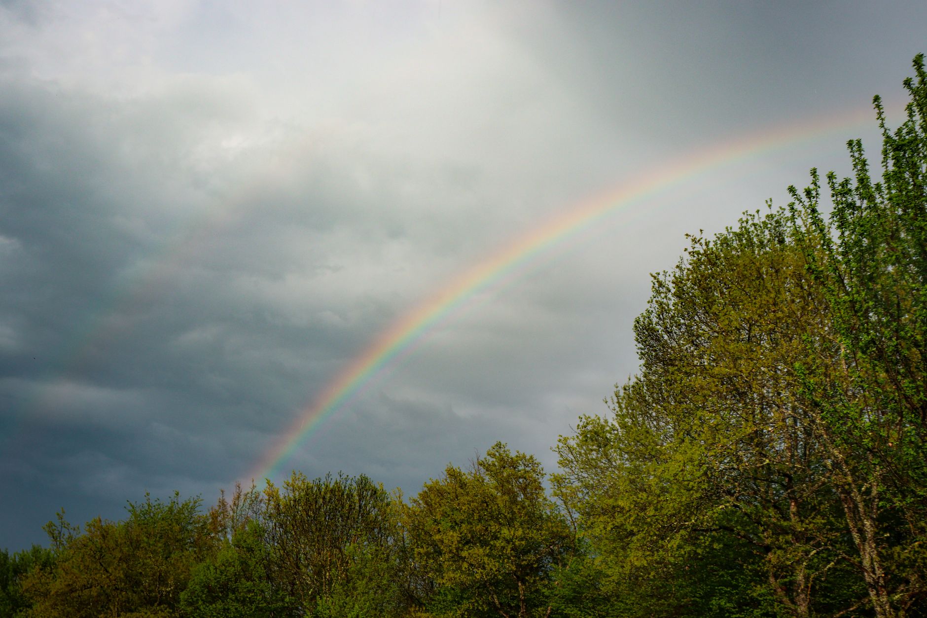 I colori dell'arcobaleno in ordine spiegati