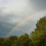 I colori dell'arcobaleno in ordine spiegati