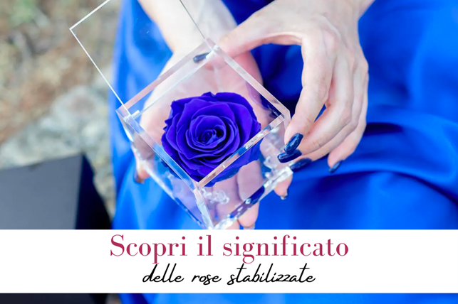 Significato rose stabilizzate