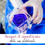 Significato rose stabilizzate
